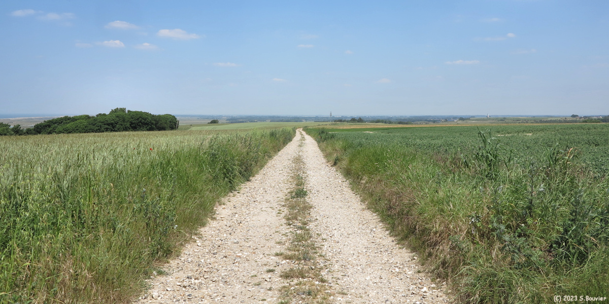 Woignarue (Chemin 1)
