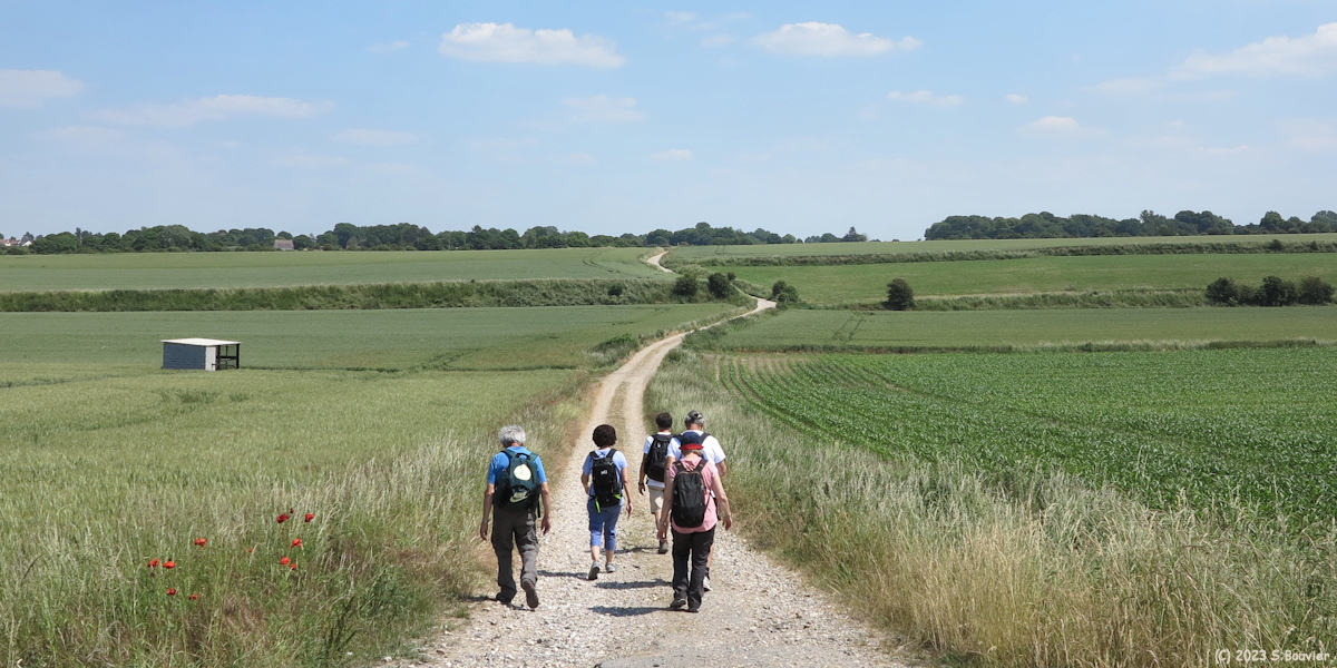 Woignarue (Chemin 2)