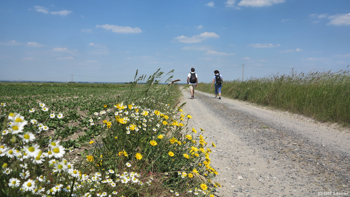 Woignarue (Chemin 3)
