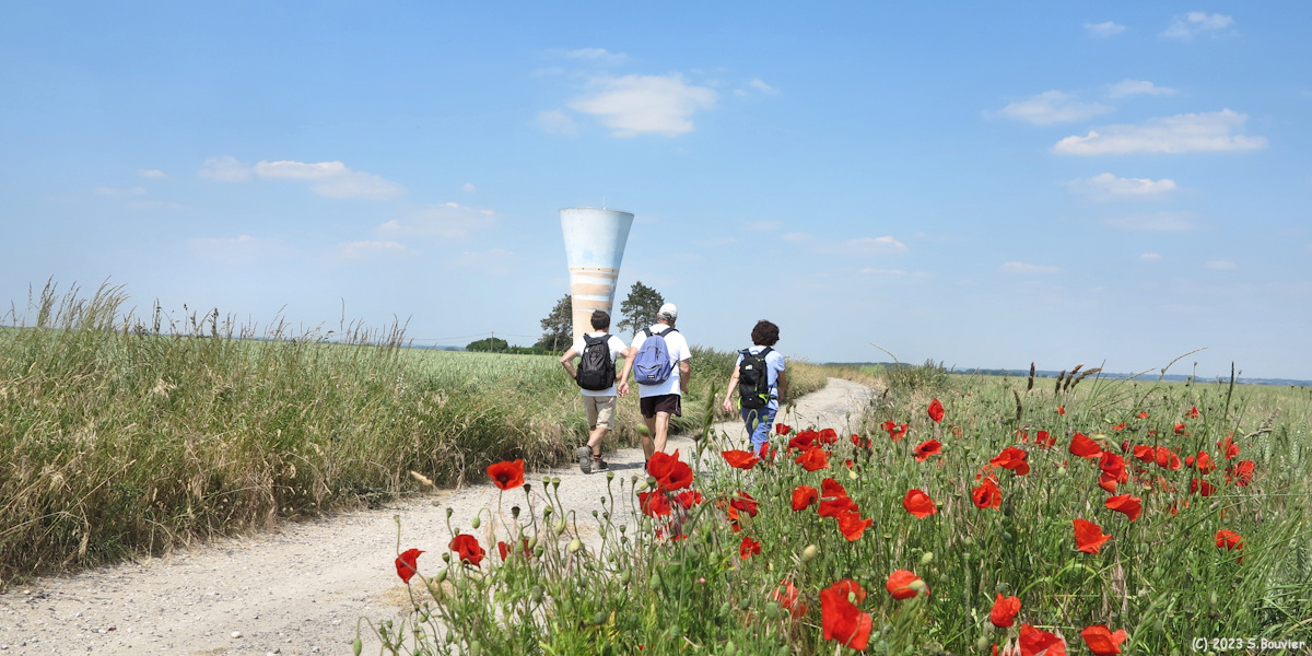 Brutelles (Coquelicots)