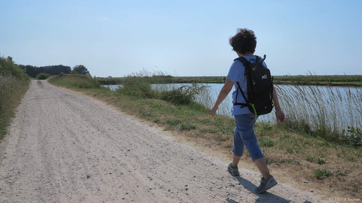 Woignarue (Chemin, Etang)