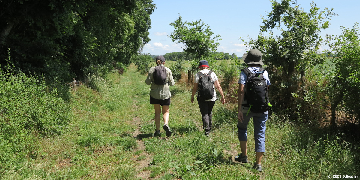 Pendé (Chemin 1)
