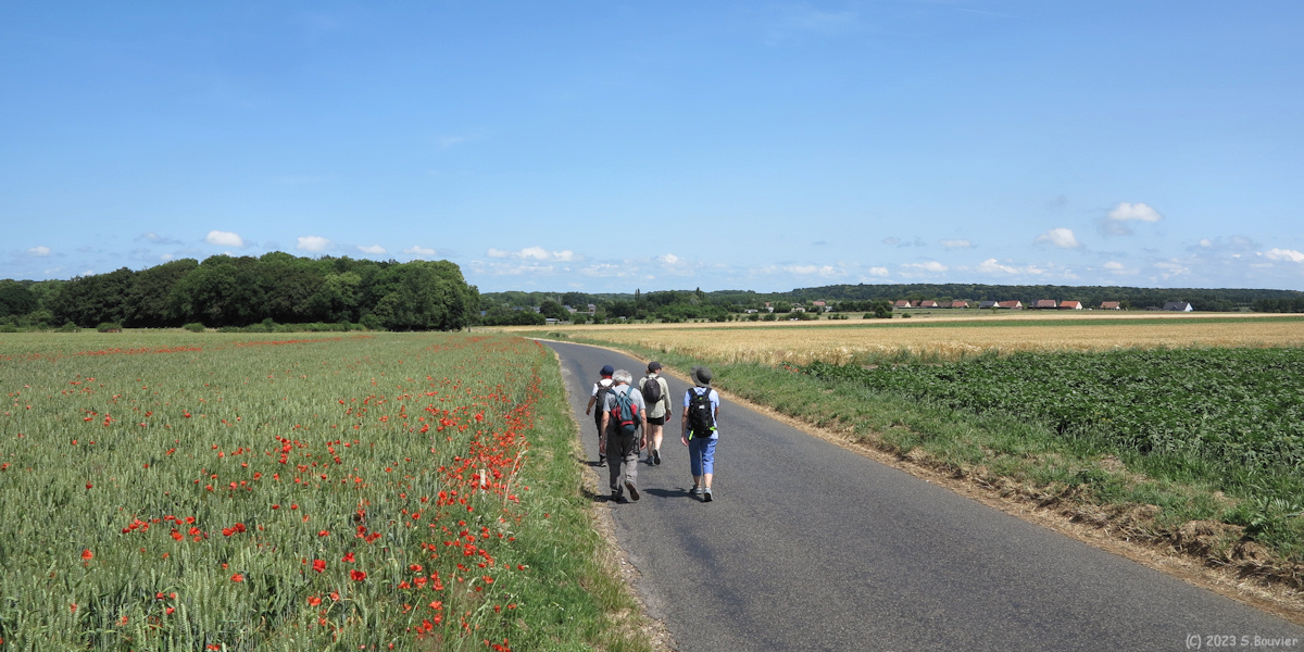 Estrébœuf (Route)