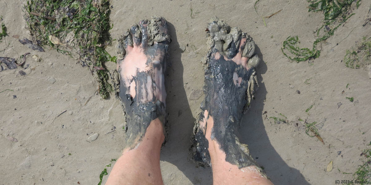 Saint Valery sur Somme (Pieds)