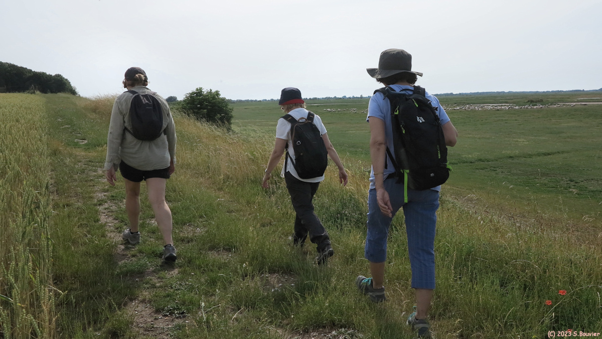 Saint Valery sur Somme (Sentier 1)