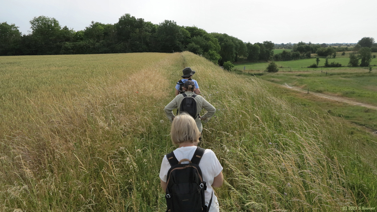 Saint Valery sur Somme (Sentier 2)