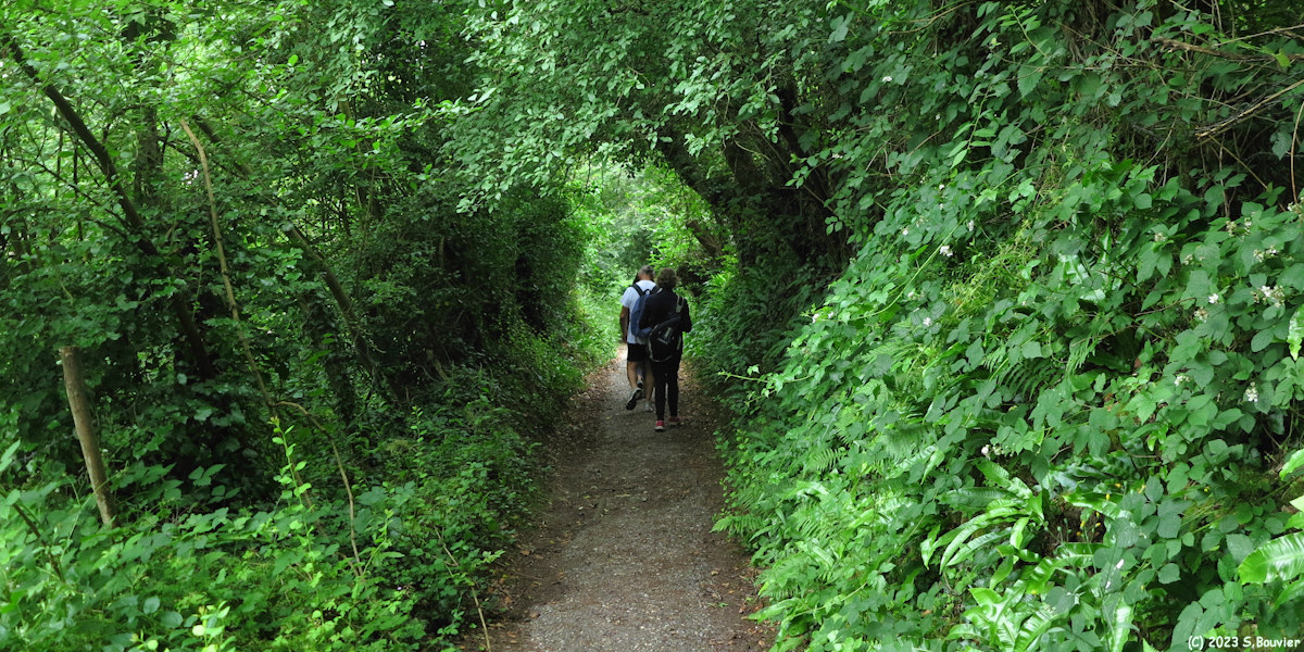 Dieppe (Chemin)
