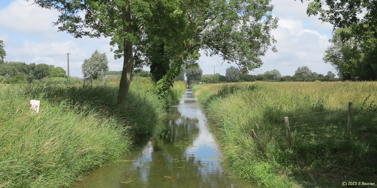 Cayeux sur Mer (Canal)