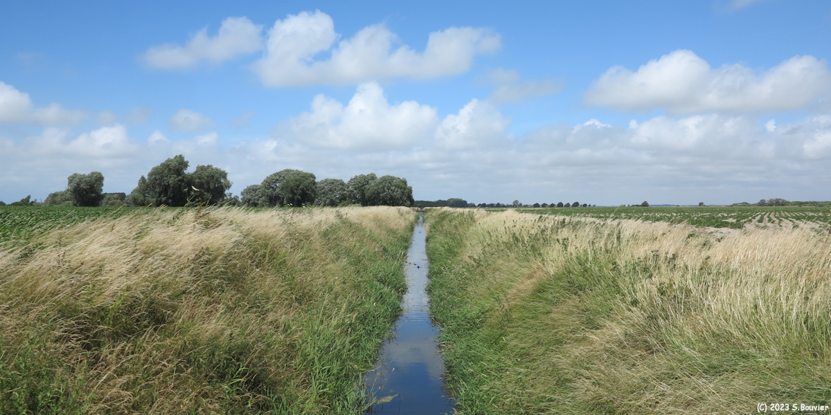 Lanchères (Canal)