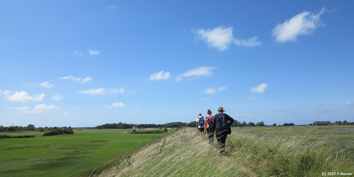 Baie de Somme (Digue 2)