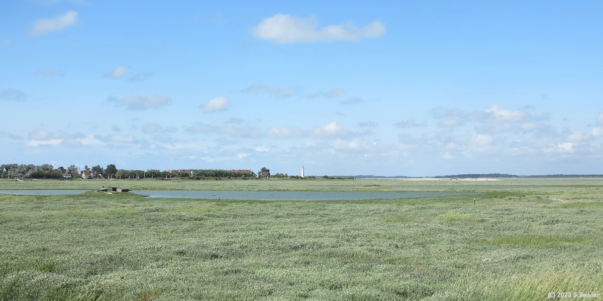 Baie de Somme (Mollières)