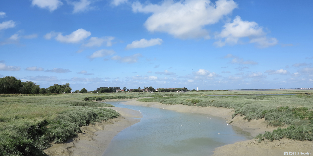 Baie de Somme (Courant à Poissons)