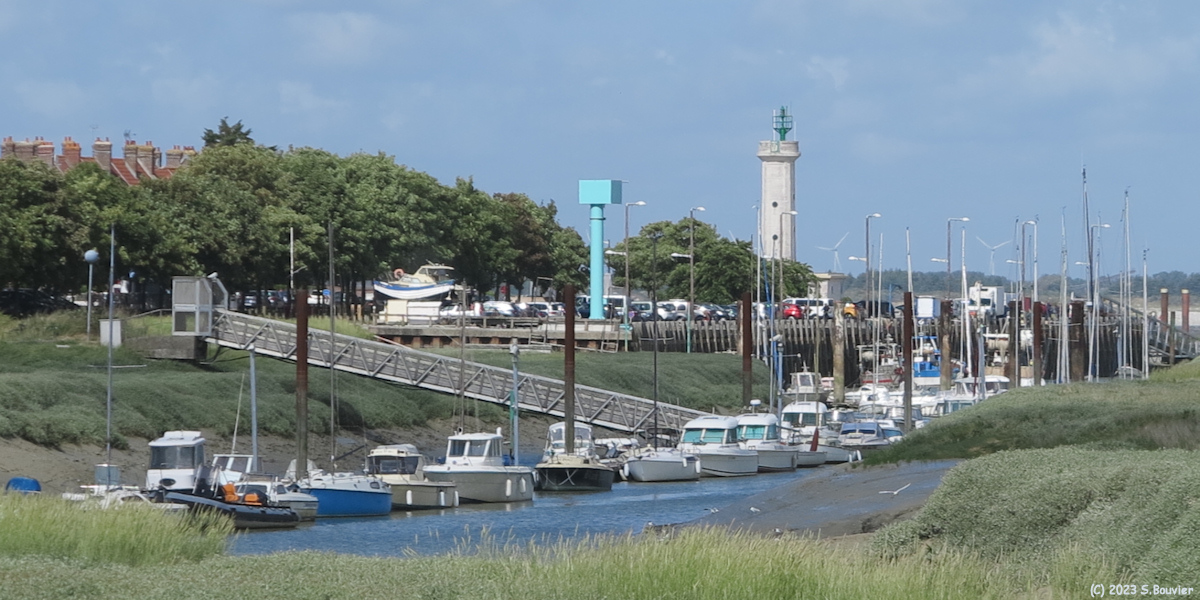 Baie de Somme (Le Hourdel)
