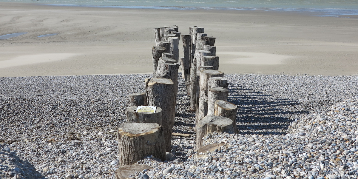 Cayeux sur Mer (Epi)