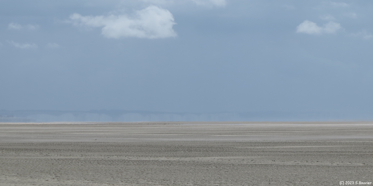 Baie de Somme (Falaises)