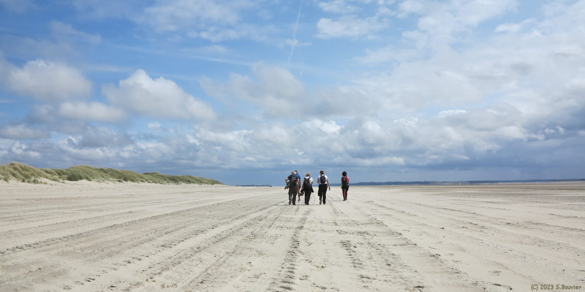 Baie de Somme (Plage 2)