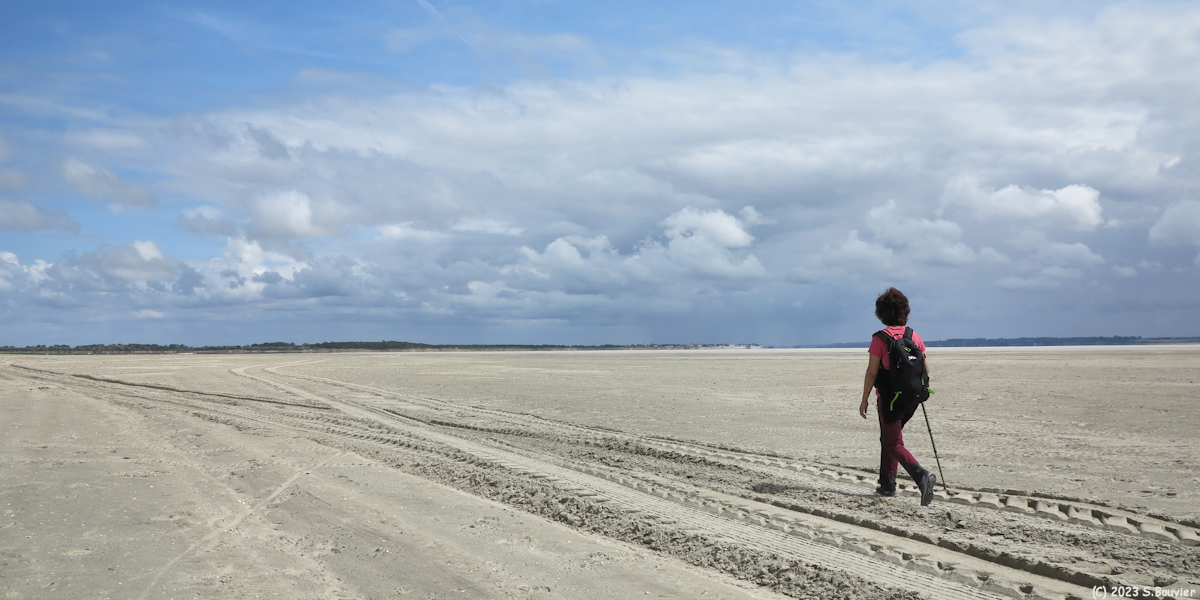 Baie de Somme (Plage 4)