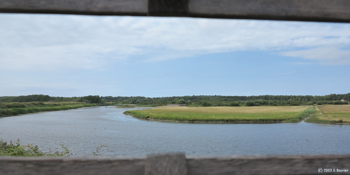 Baie de Somme (Parc ornithologique)