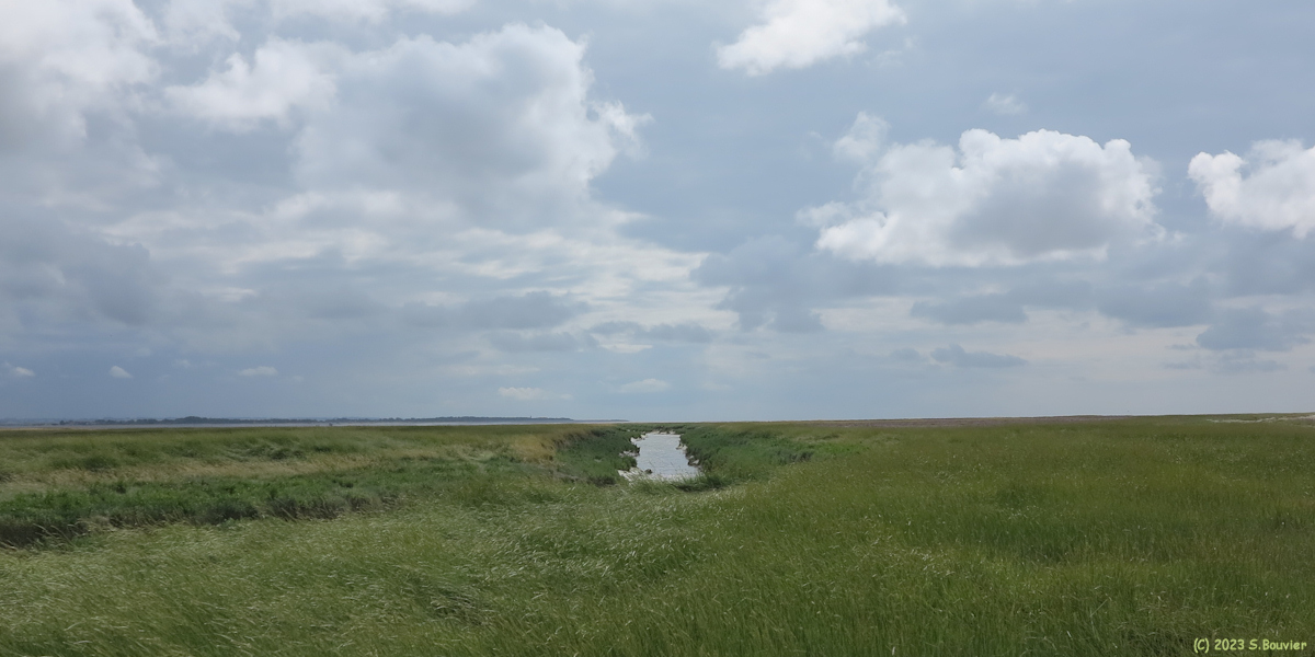 Baie de Somme (Maye 2)