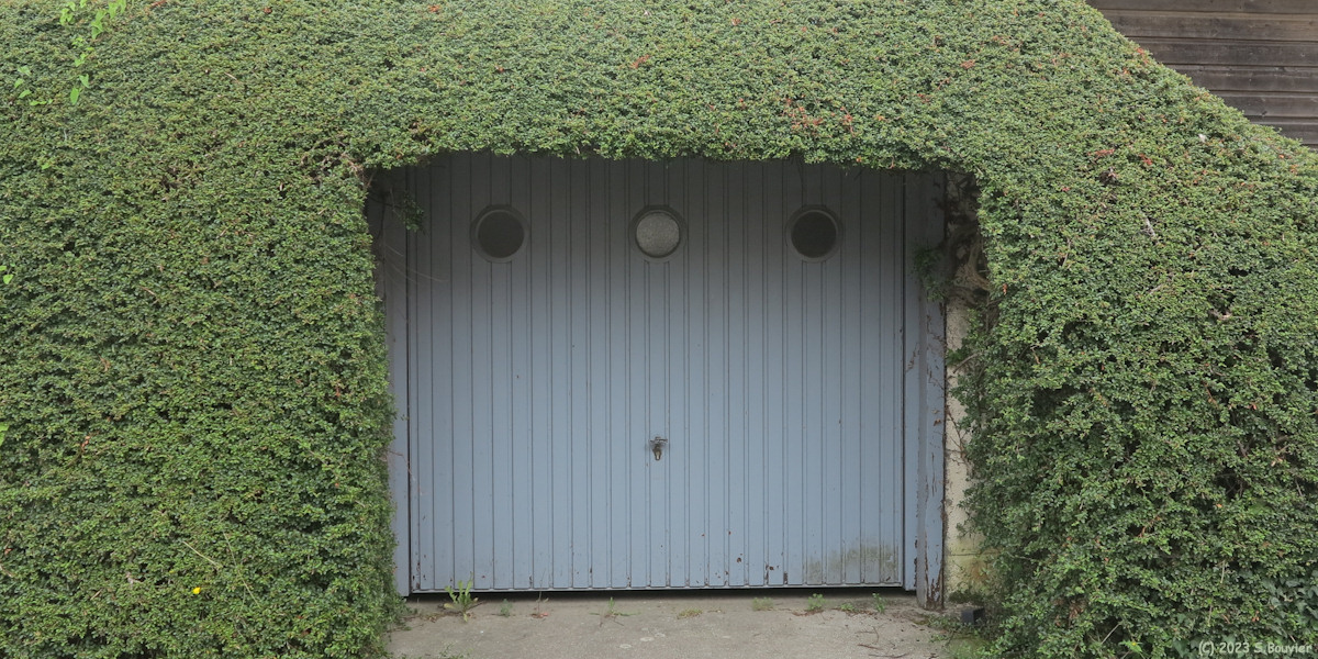 Saint Pierre en Port (Porte, Cotonéaster)
