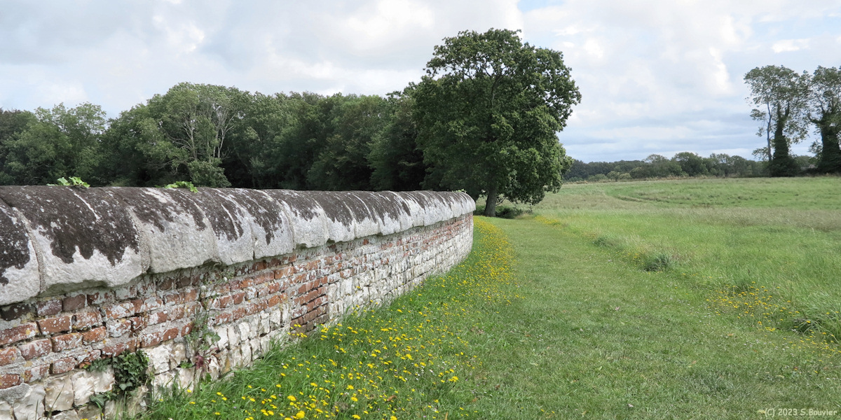Sassetot le Mauconduit (Chemin 1)