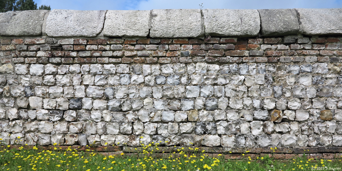 Sassetot le Mauconduit (Mur)