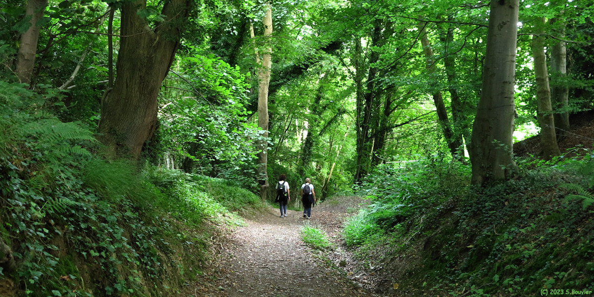 Sassetot le Mauconduit (Chemin 2)