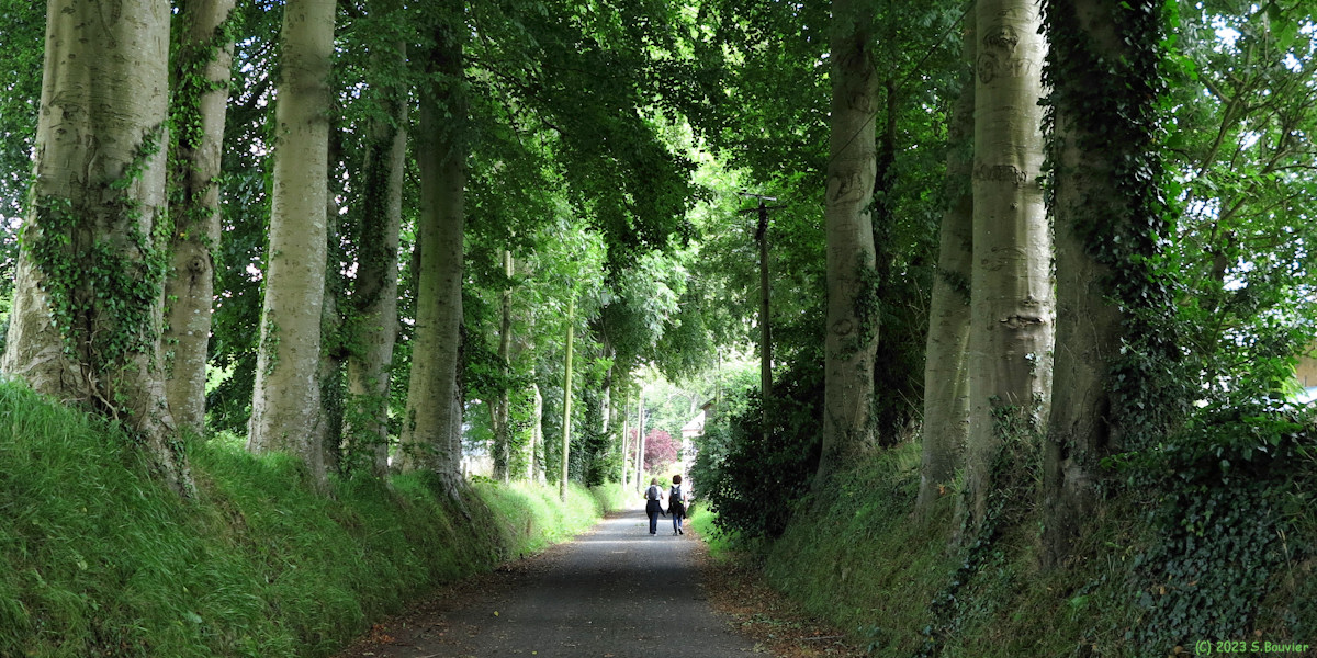Vinnemerville (Rue)