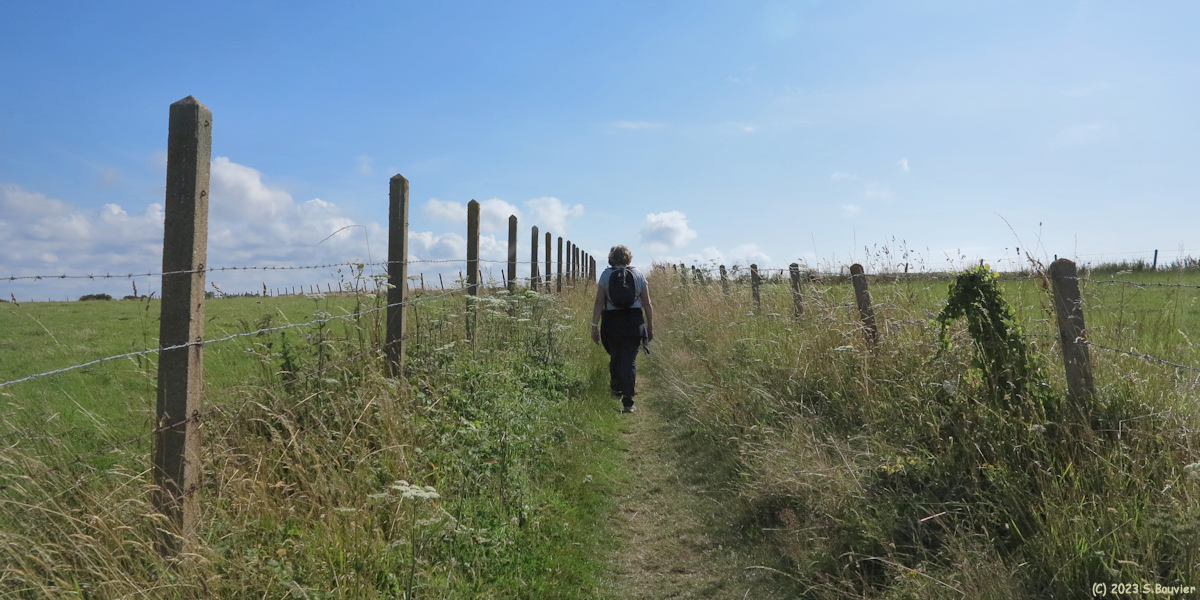 Saint Pierre en Port (Sentier 2)