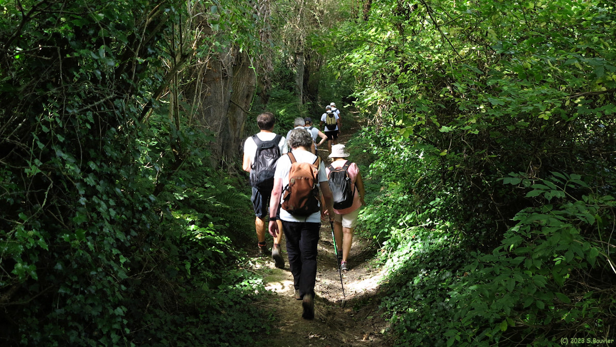 Varengeville sur Mer (Chemin 2)