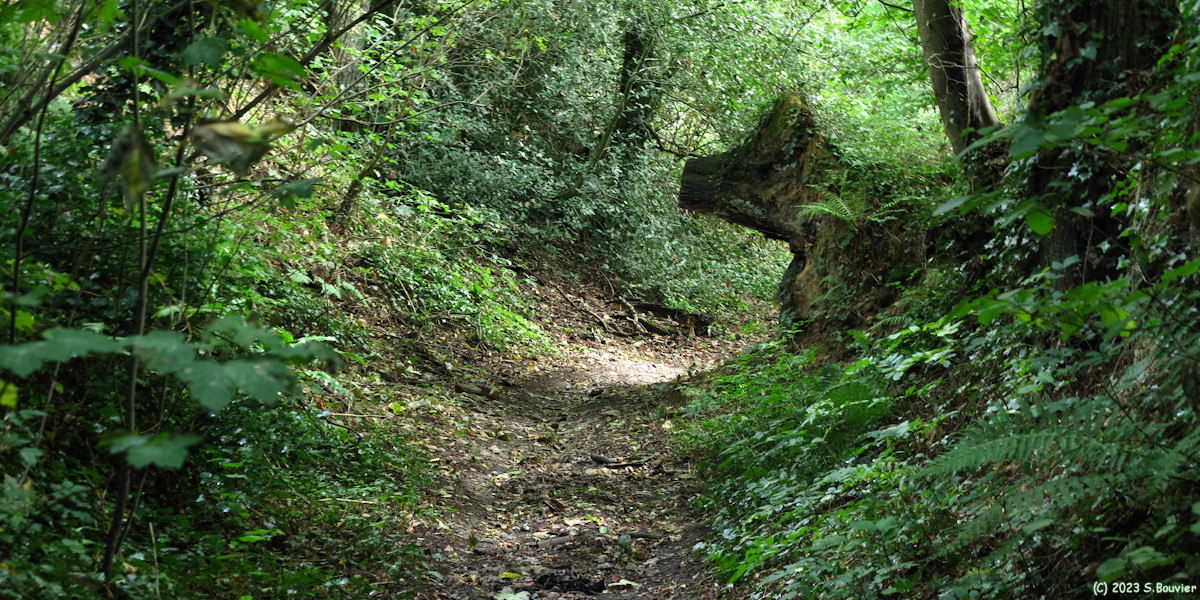 Varengeville sur Mer (Chemin 1)