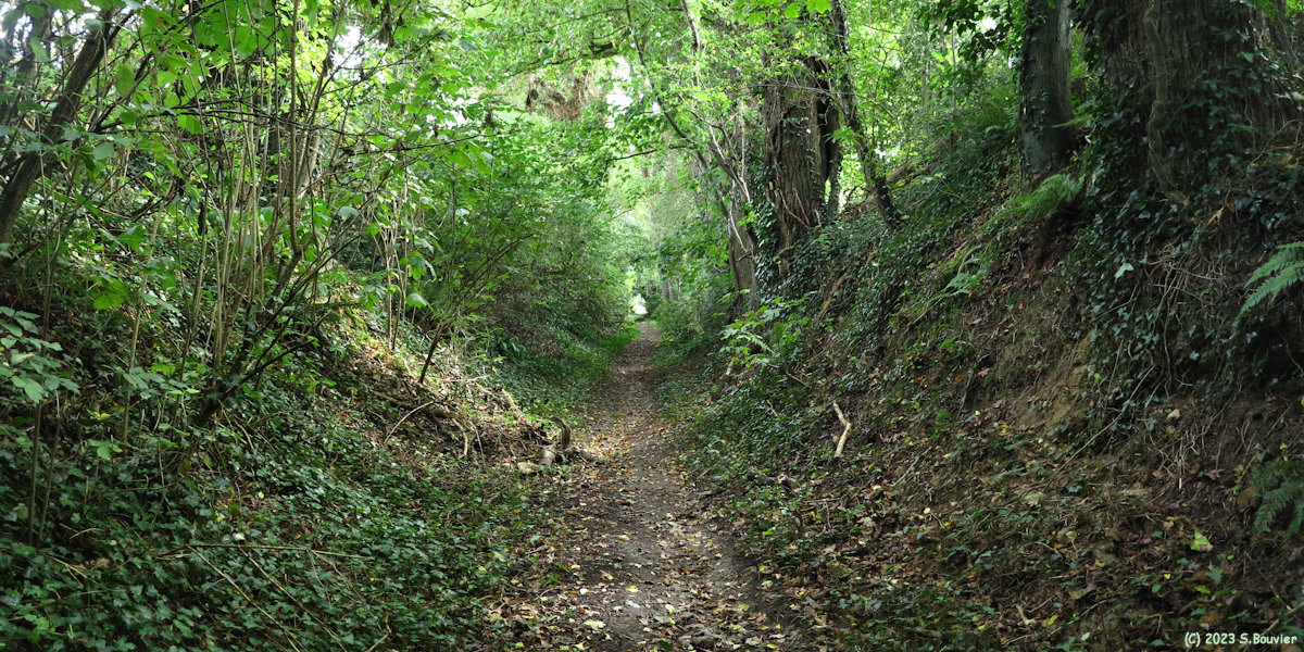 Varengeville sur Mer (Chemin 2)