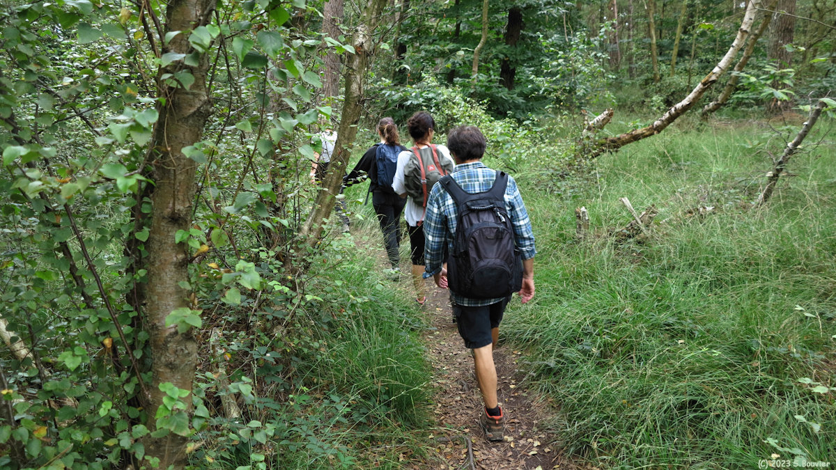 Sainte Marguerite sur Mer (Sentier)