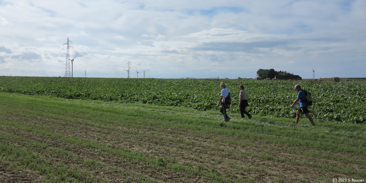 Longueil (Chemin)