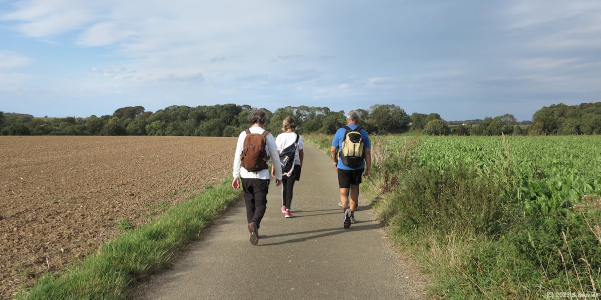 Bourg-Dun (Chemin 2)