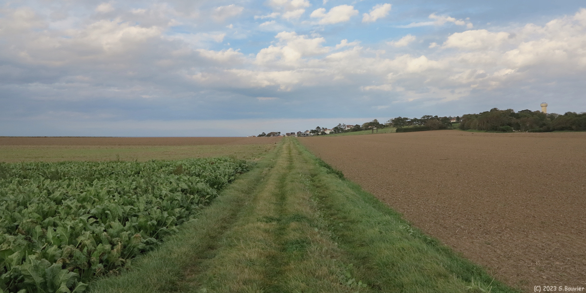 Quiberville (Chemin 1)
