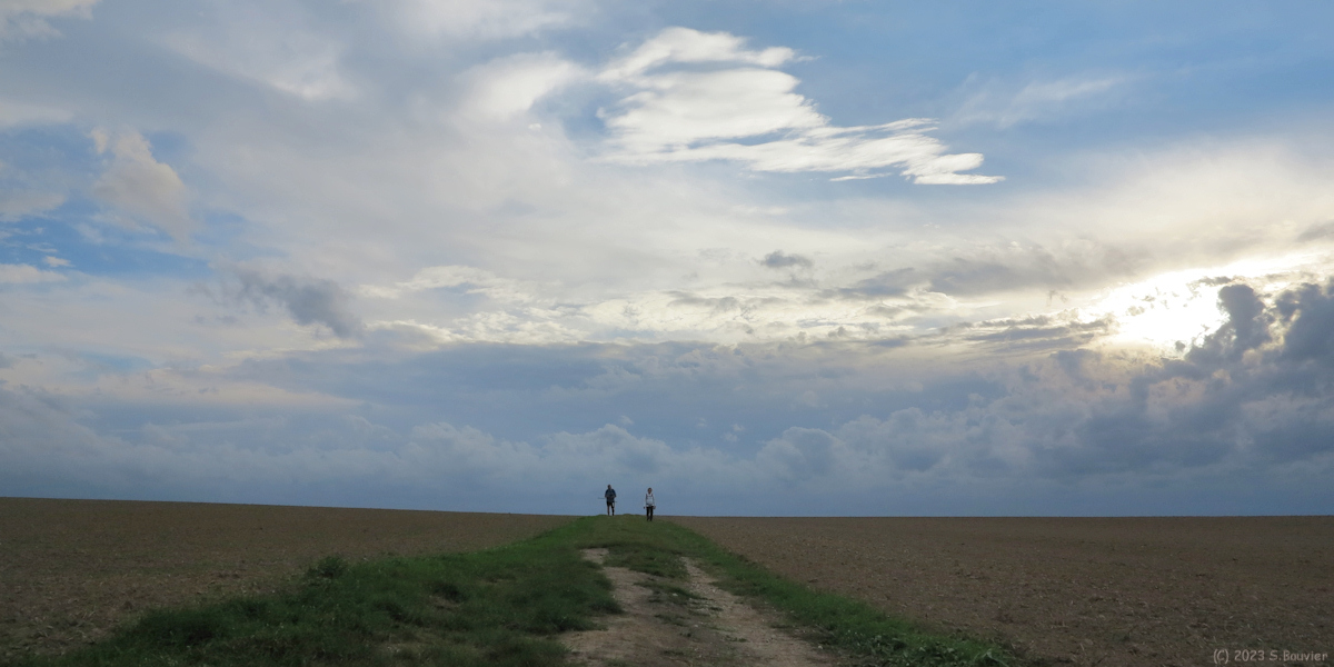 Quiberville (Chemin 2)