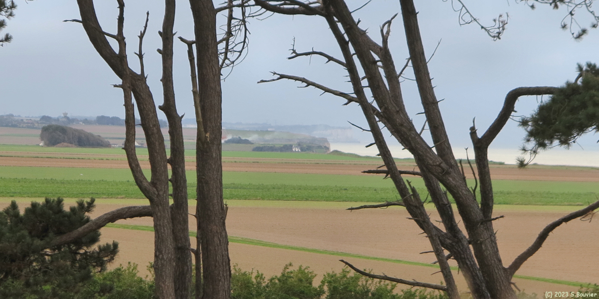Quibervillle (Pins)