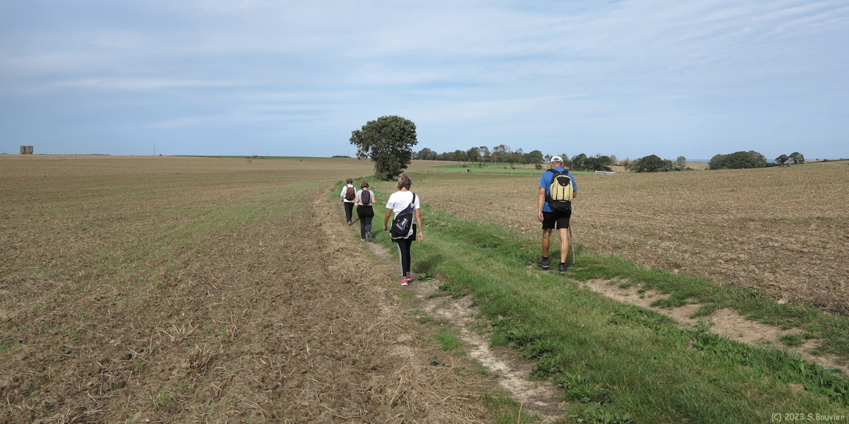 Sotteville sur Mer (Chemin)