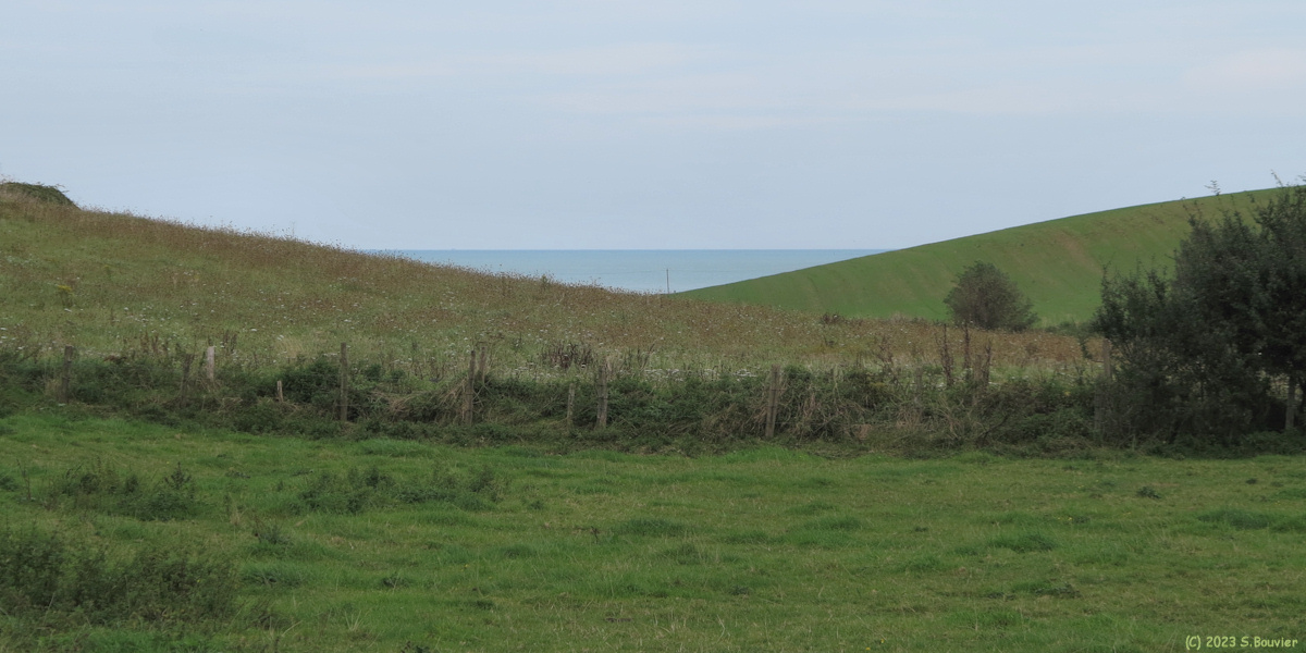 Saint Aubin sur Mer (Vallée 1)