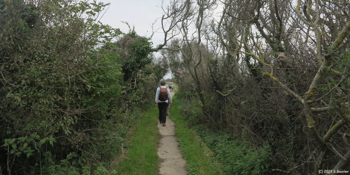 Saint Aubin sur Mer (Chemin)