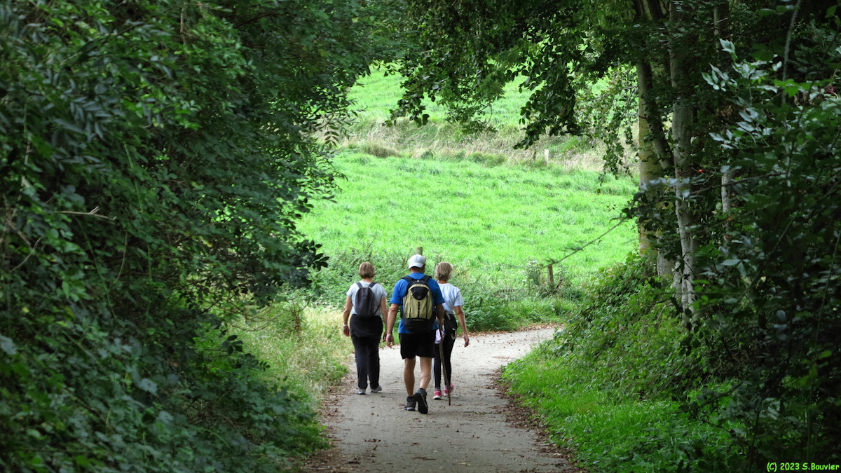 Bourg-Dun (Chemin 1)