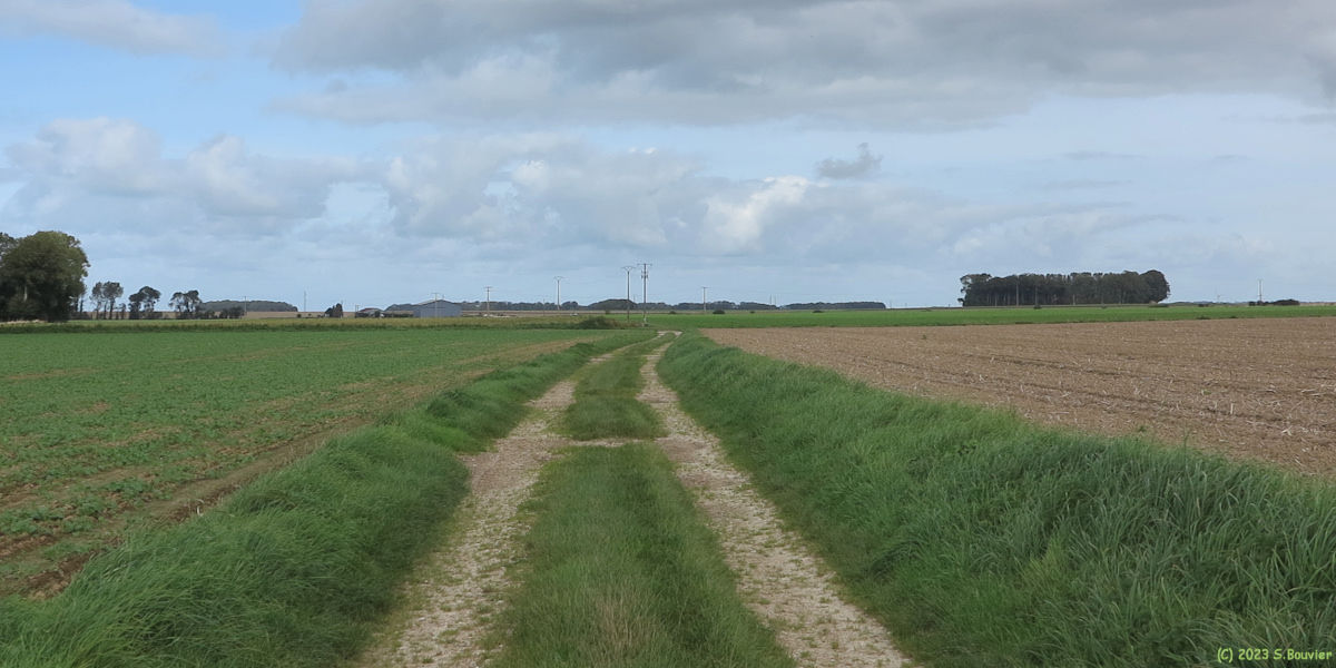 Angiens (Chemin)
