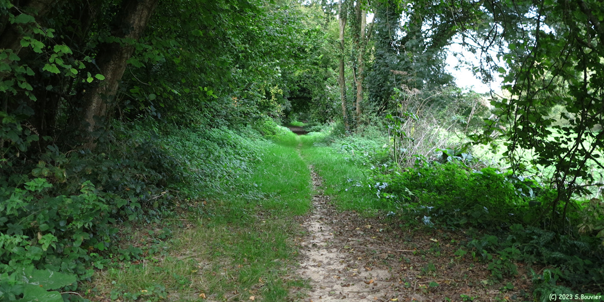 La Gaillarde (Chemin)