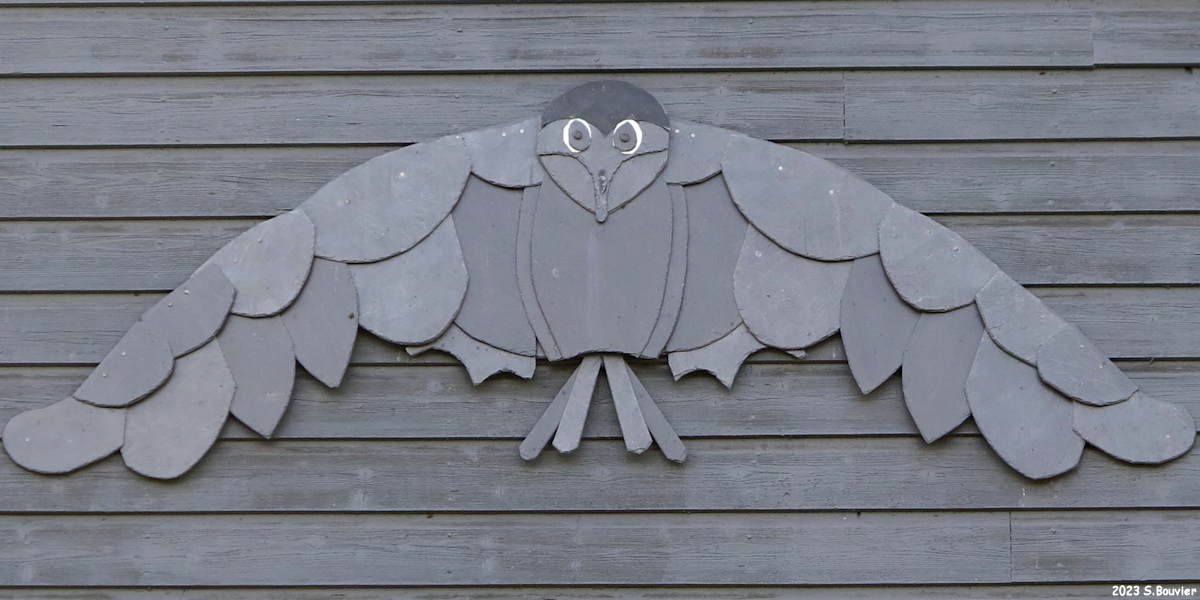 Bourville (Oiseau)