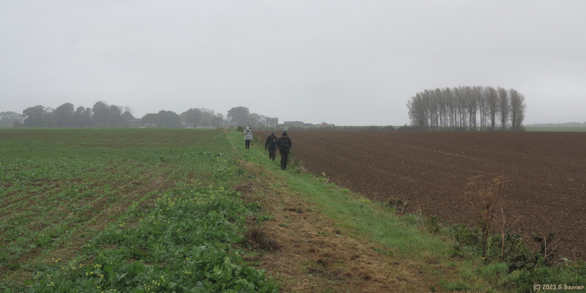 Sainte Colombe (Chemin)
