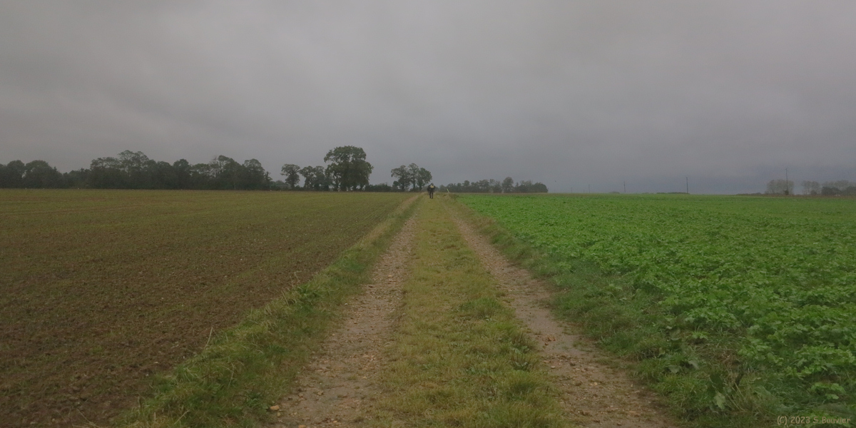 Fultot (Chemin)