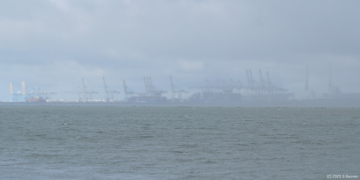 Le Havre (Terminal Conteneur 1)