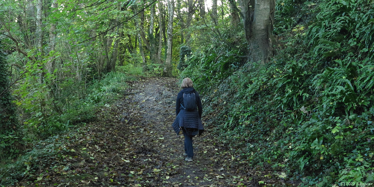 Houlgate (Chemin)