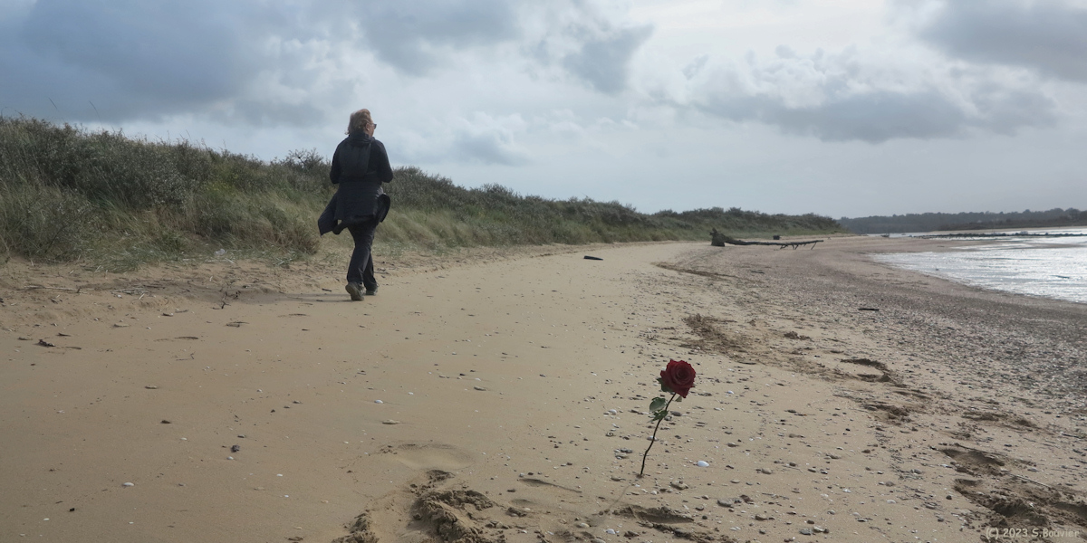 Mervillle-Franceville-Plage (Rose)